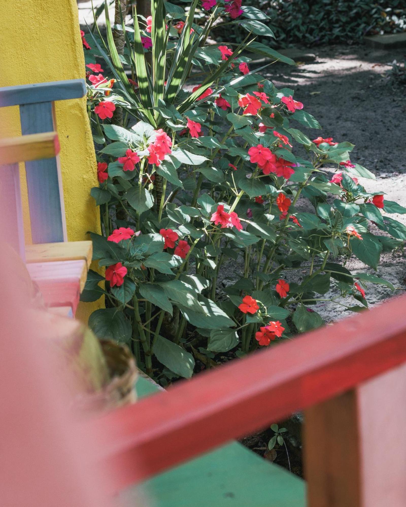 Butterfly House Bahia Hotel Marau  Buitenkant foto