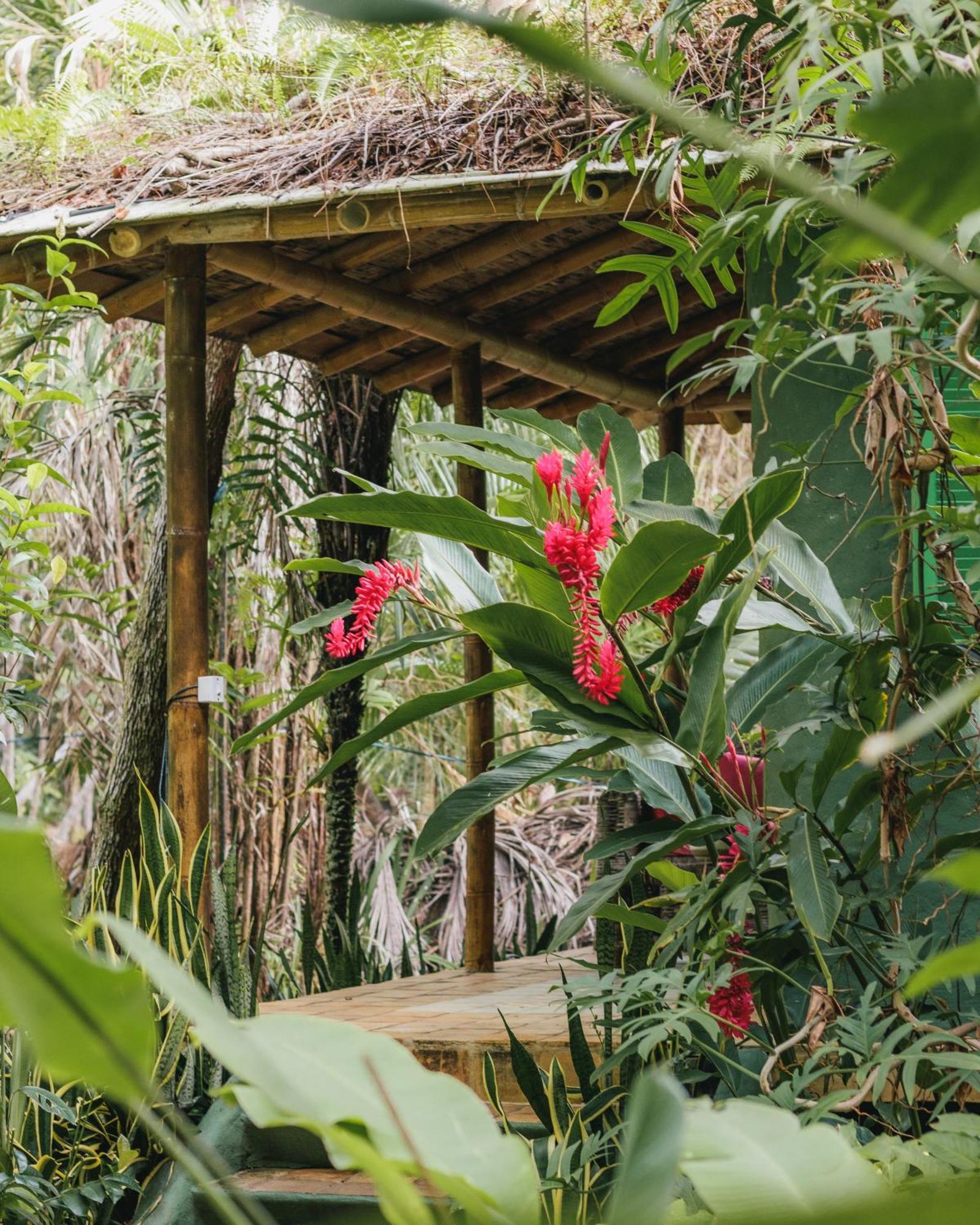 Butterfly House Bahia Hotel Marau  Buitenkant foto